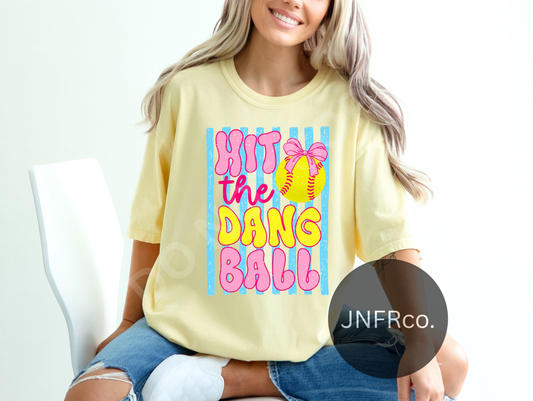 Hit The Dang Ball Softball - DTF Transfer